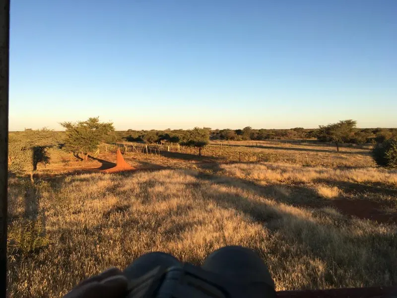 Elevated hide